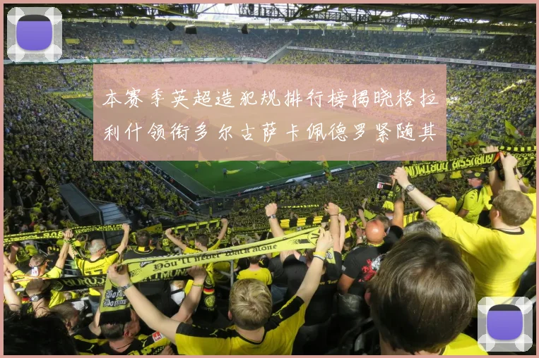 本赛季英超造犯规排行榜揭晓格拉利什领衔多尔古萨卡佩德罗紧随其后